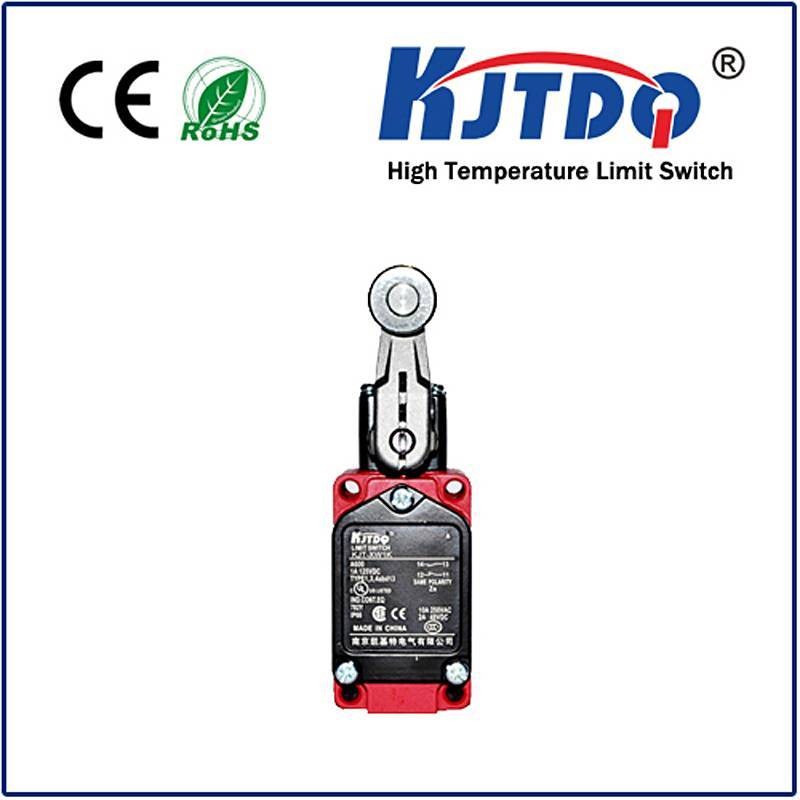 High temperature limit switch XWKA