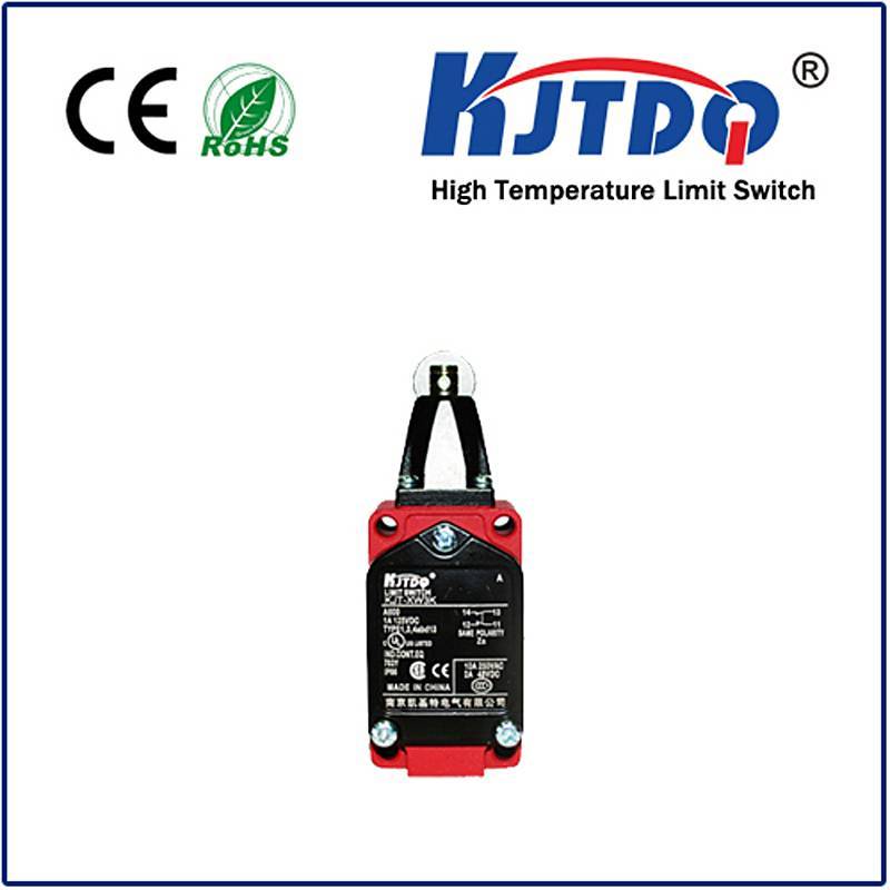 High temperature limit switch XWKC