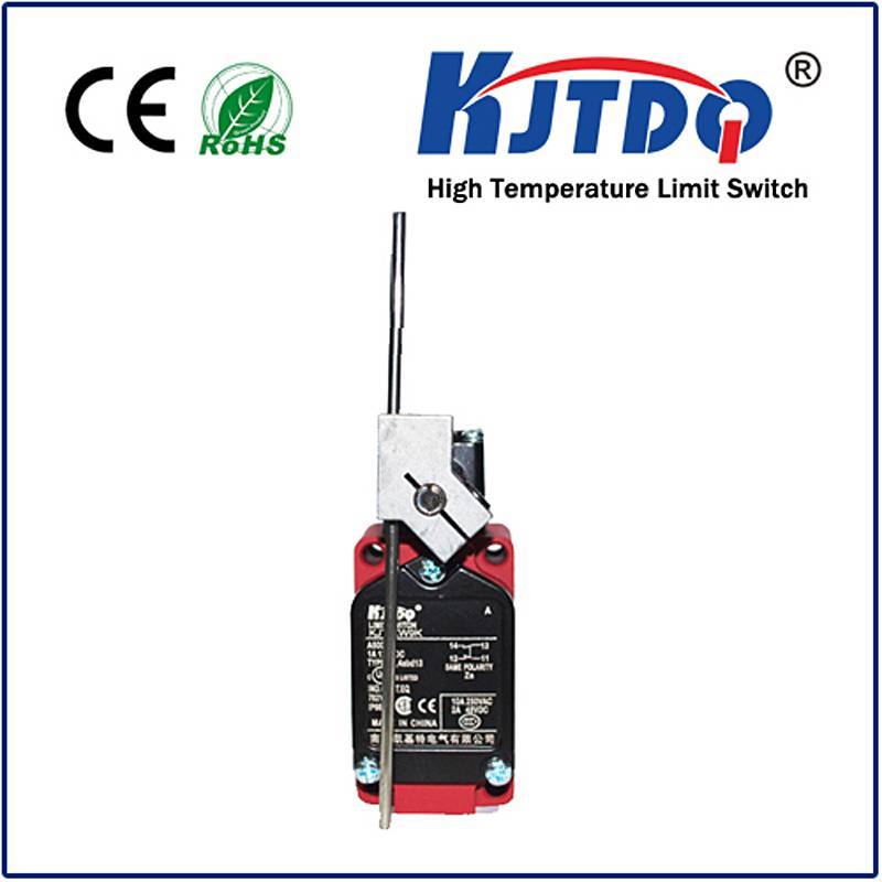 High temperature limit switch XWKI